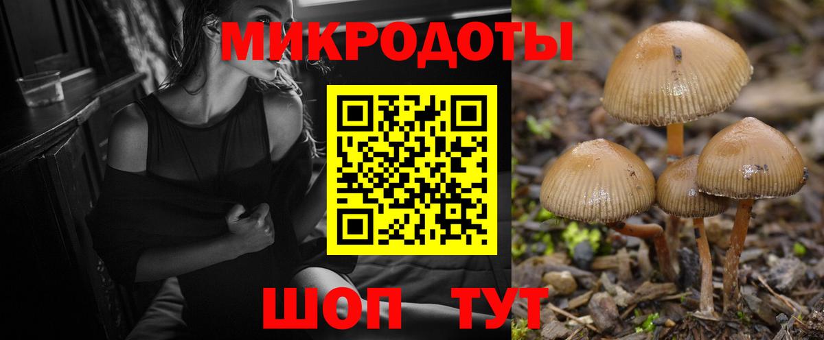 Галлюциногенные грибы Cubensis Нальчик